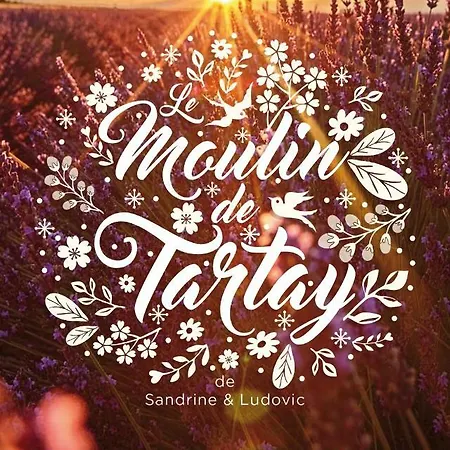 De Leonie Moulin De Tartay En * Avignon